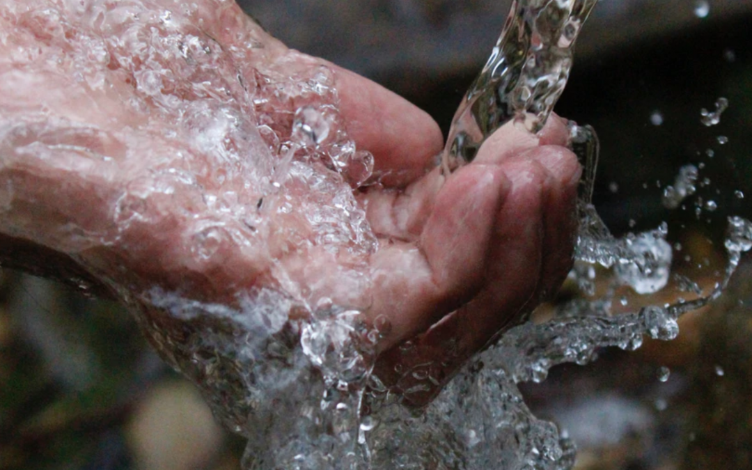 4 Minerales en el agua alcalina y sus beneficios